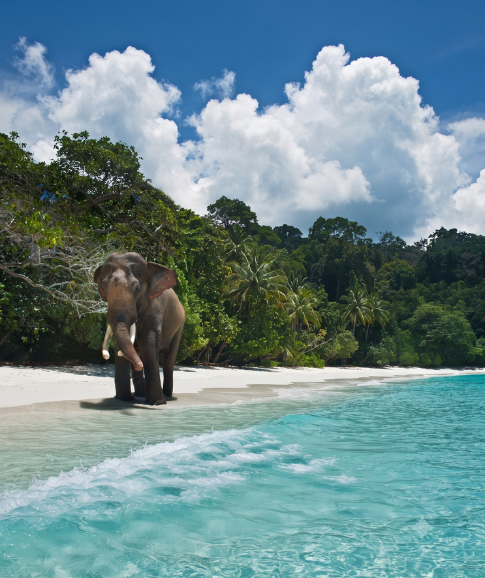 Andaman (1)